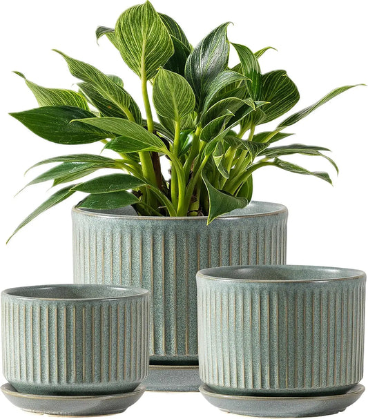 Sure Yuesi Ceramic Plant Pots Set With Drainage And Saucer