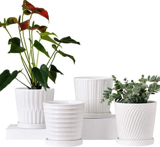 Ceramic Plant Pots Feature Reliable Drainage Systems And Protective Saucers