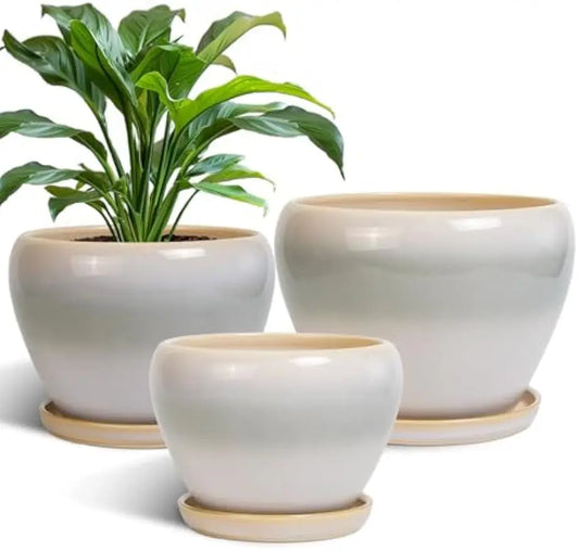 EPFamily Ceramic Planters Indoor Set Round Drainage Holes Saucers